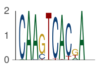 Basic Logo