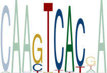 Tight Highlighted Logo